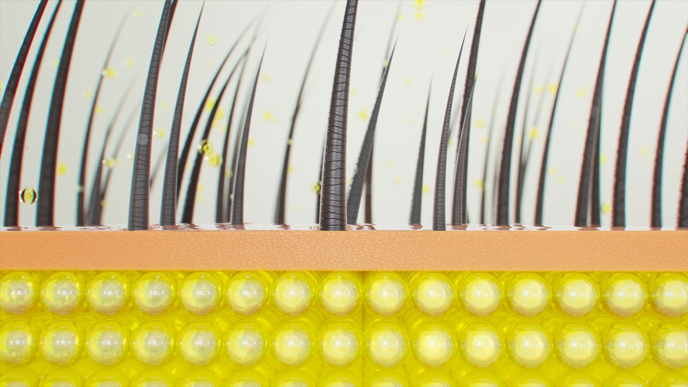 How Stem Cell Hair Restoration Works